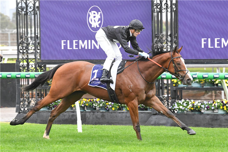 HIGHVOL winning the Trevor Clarke Handicap at Flemington in Australia.
