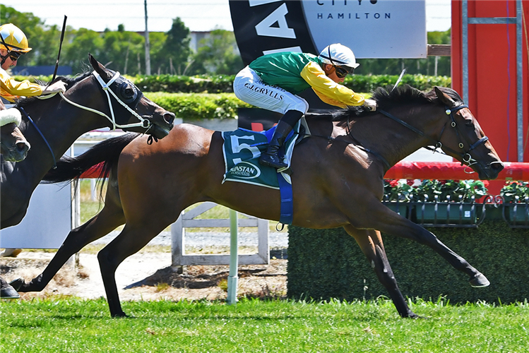 HINEKAHA winning the CAL ISUZU STAKES