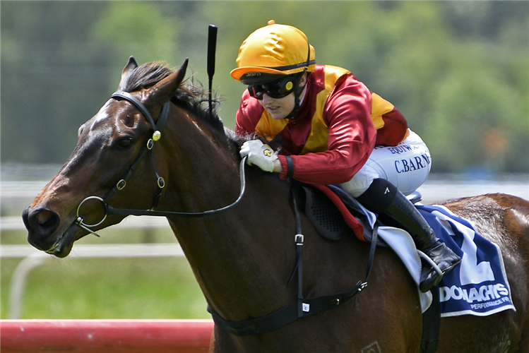 HISTORY MAKER winning the DONAGHYS N-BOOST MAIDEN 2200M