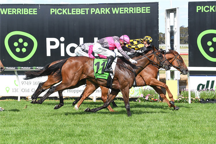 HOLYMANZ dead-heats with PRECIOUS CHARM winning the Werribee Cup at Werribee in Australia.