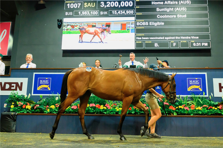 The new Magic Millions record-holder.