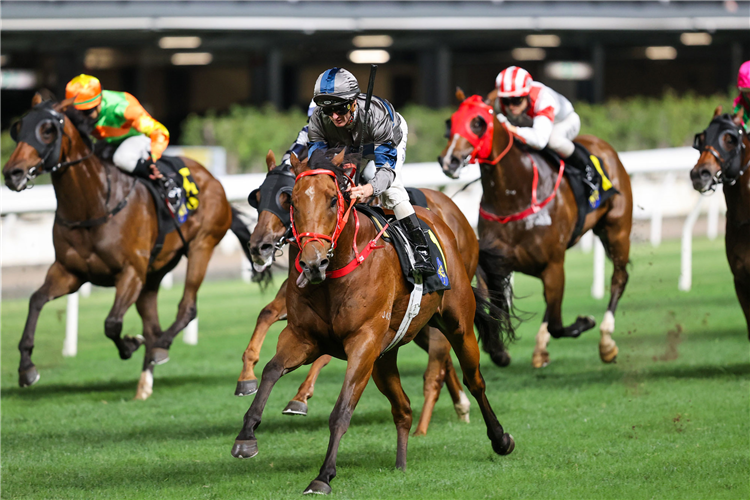 HORSEPOWER winning the ORCHID HANDICAP