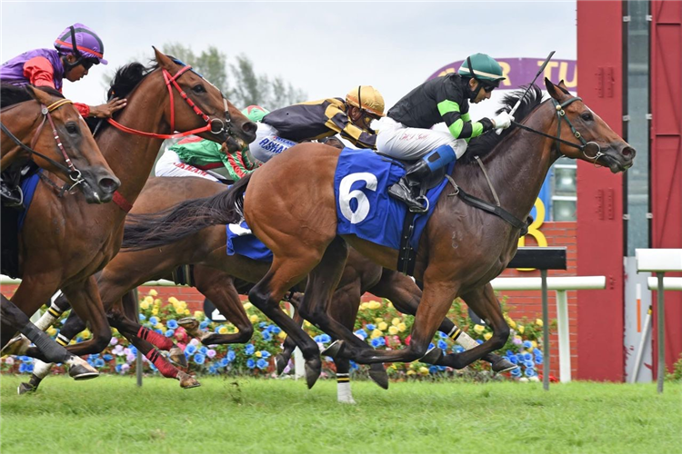 HYPEMAN winning the Race 7 (675)