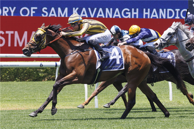 HYPERBOLIC winning the IN MEMORY OF SAM KAVANAGH HANDICAP