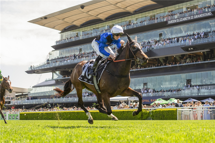 IDLE FLYER winning the ASAHI SUPER DRY ANGST STAKES at Randwick in Australia.