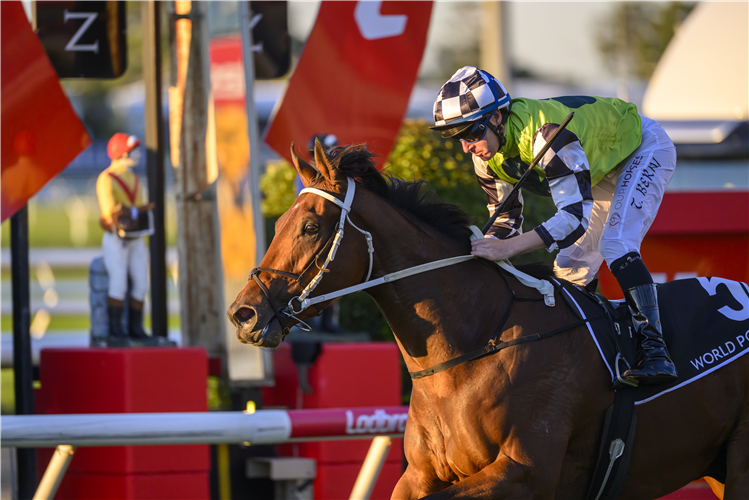 IMPERIALIST winning the SEVEN ROUGH HABIT PLATE at Doomben in Australia.
