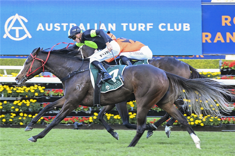 IN FLIGHT winning the VINERY STUD BOB CHARLEY AO STAKES at Randwick in Australia.