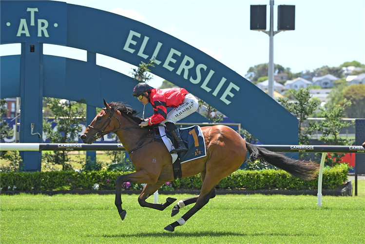 INCANDESCENT winning the INDEPENDENT TRAFFIC CONTROL
