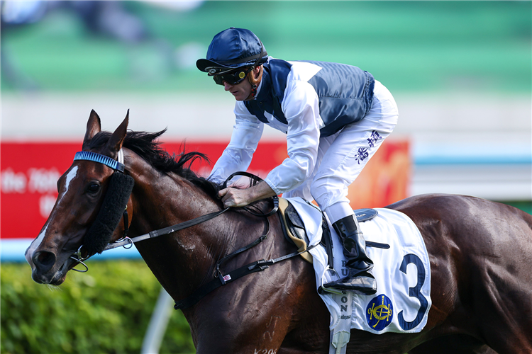 INVINCIBLE IBIS winning the CHENGDU HANDICAP