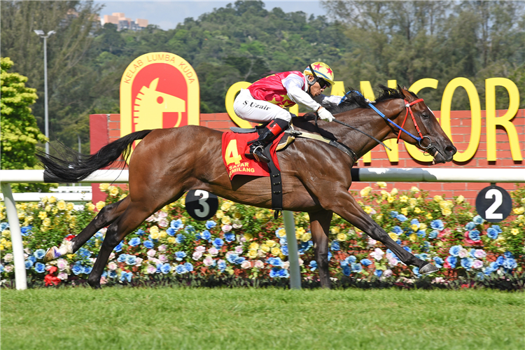 IRISH GOODBYE winning the Race 8 (748)