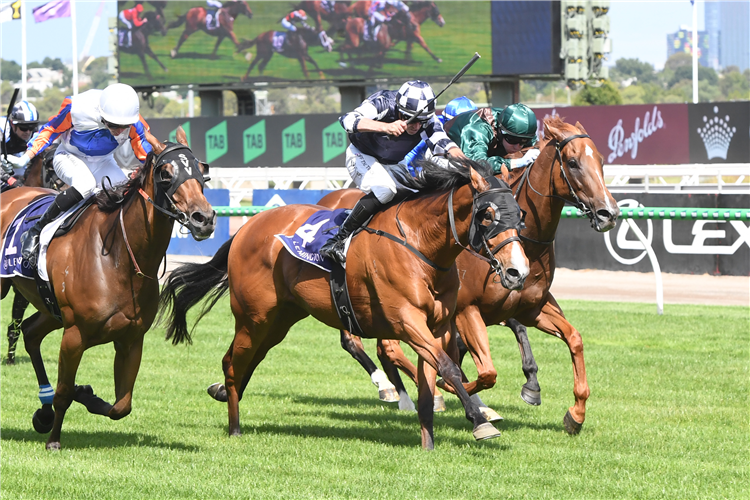 IT'SOURTIME winning the Standish Handicap at Flemington in Australia.