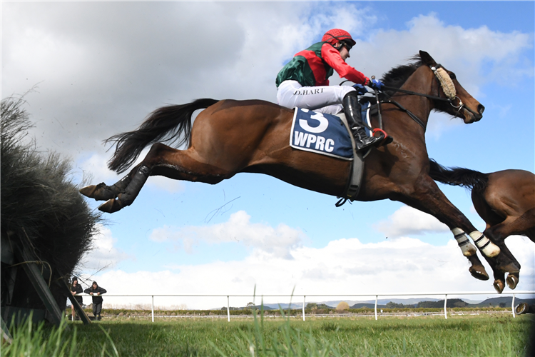 JAKAMA KRYSTAL winning the JUDE CHALLIES PROPERTY BROKERS WOODVILLE TARARUA STEEPLECHASE
