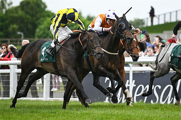 JAMES'S DELIGHT (left, yellow silks) winning the Ireland Greenlands Stakes at Curragh in Kildare.