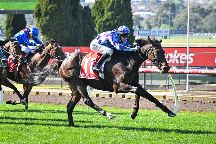JENNIVAMOOSE winning the Donnellans Handicap at Moonee Valley in Australia.