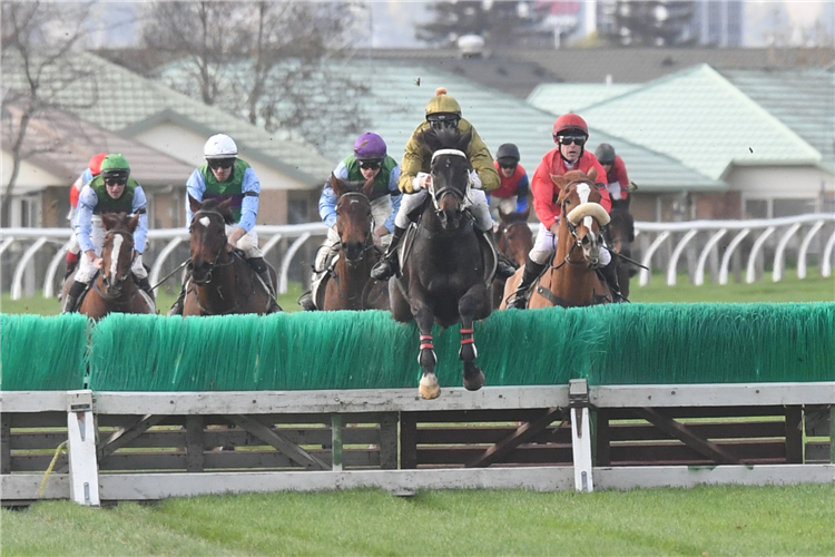 JESKO winning the PRESIDENTIAL HOMES MANAWATU STEEPLECHASE