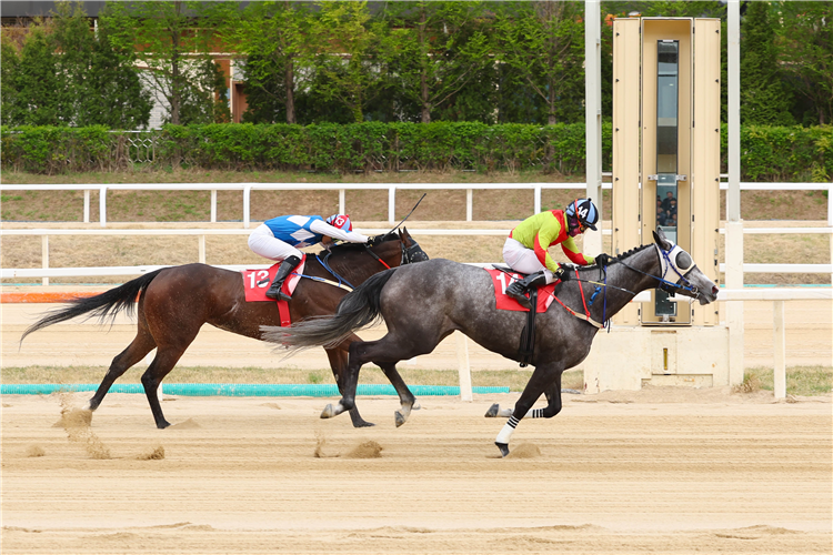 JEULGEOUNYEOJEONG winning the Class Open Special Weight A
