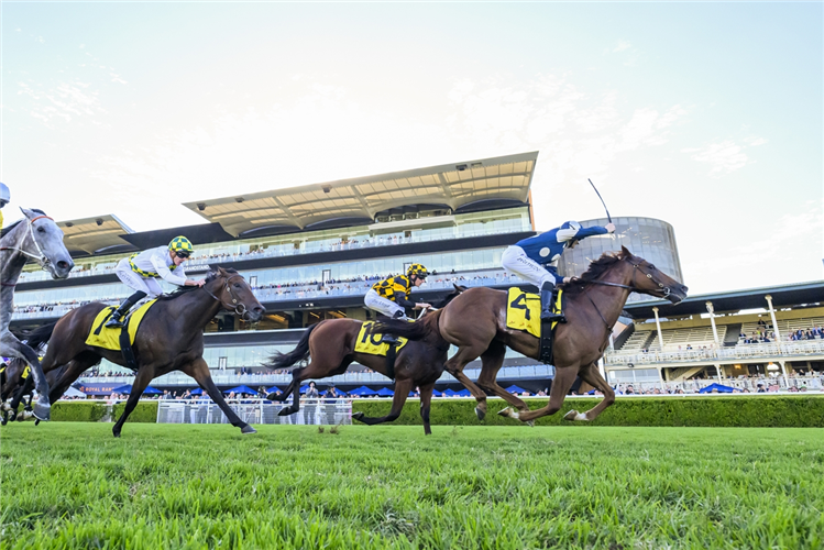 JIMMYSSTAR winning the SCHWEPPES ALL AGED STAKES at Randwick in Australia.