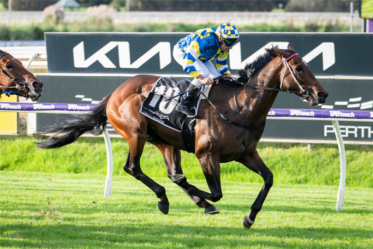 JOKERS GRIN returns to Ascot this Saturday.