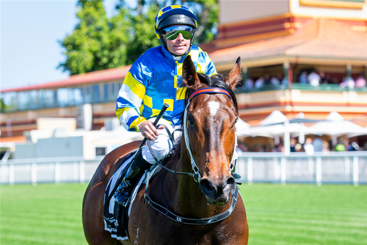 JOKERS GRIN returning to scale at Ascot.
