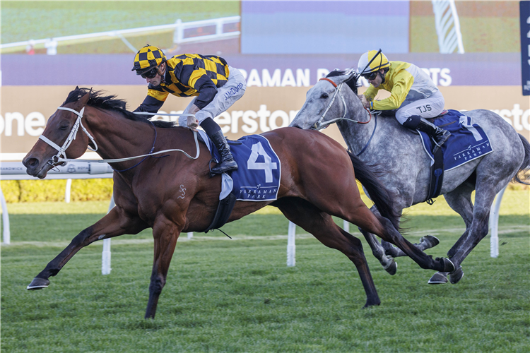 JOLIESTAR winning the YARRAMAN PARK SHORTS
