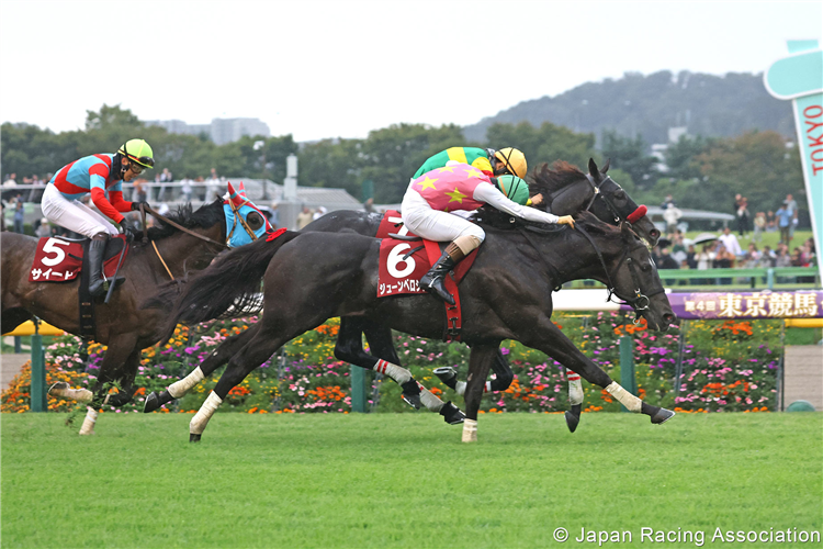 JUNE VELOCITY (red silks) winning the Tokyo High-Jump at Tokyo in Japan.