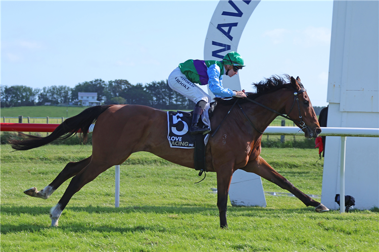 JUST CHARLIE winning the STEELFORM ROOFING GROUP WAVERLEY CUP