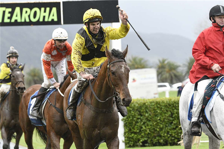JUSTICE winning the DEAN WILES RACING MAIDEN STEEPLECHASE