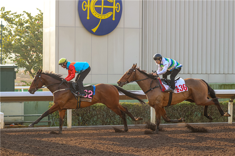 Ka Ying Rising cruises to a trial victory at Sha Tin.