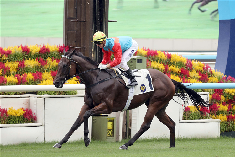 KA YING RISING winning the THE HKSAR CHIEF EXECUTIVE'S CUP (HANDICAP)