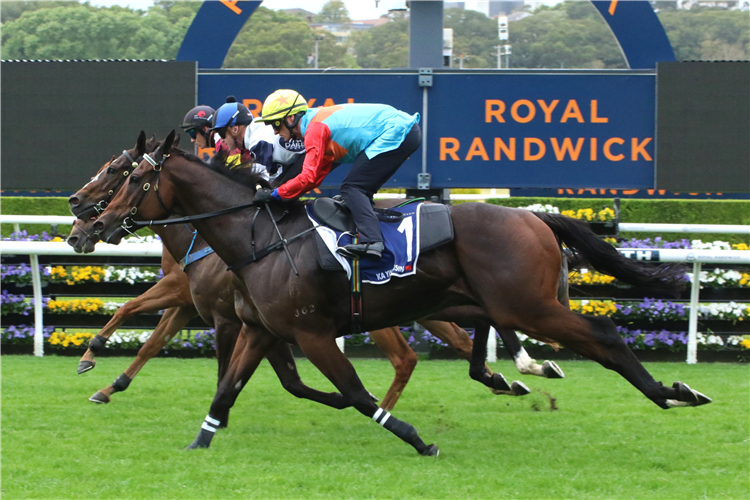 KA YING RISING trials at Randwick