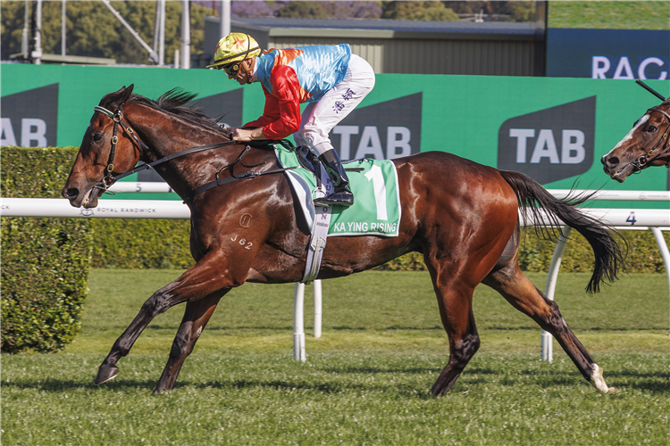 KA YING RISING winning the THE TAB EVEREST