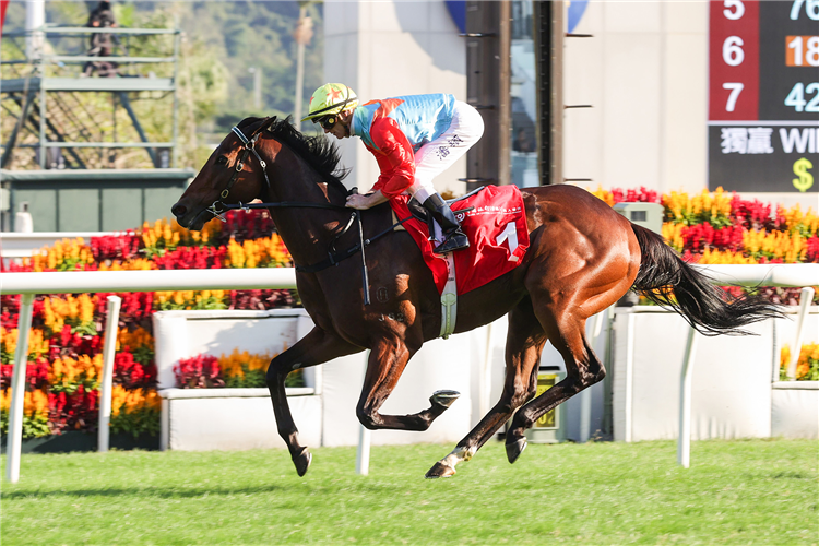 KA YING RISING winning the THE BOCHK PRIVATE BANKING JOCKEY CLUB SPRINT