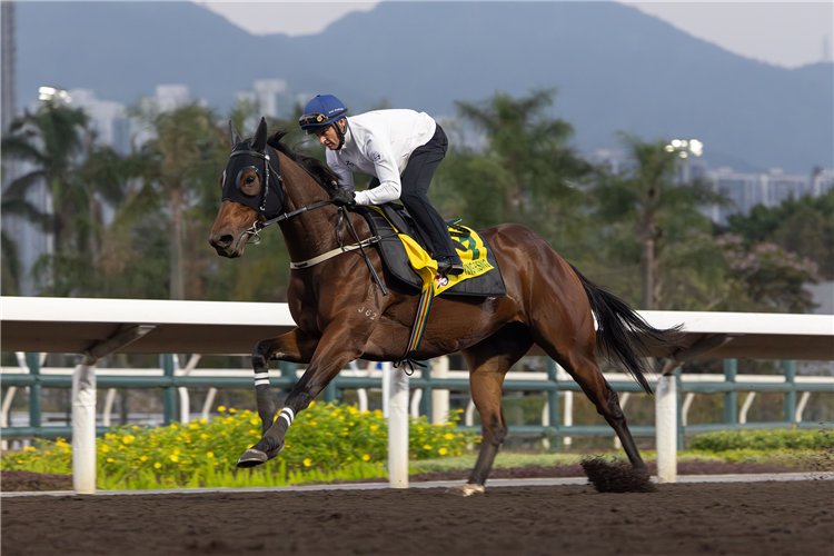 Ka Ying Rising strides out at Sha Tin with Zac Purton up.