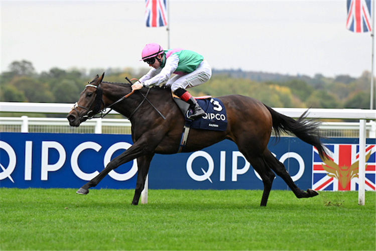 KALPANA winning the British Champions Fillies & Mares Stakes at Ascot in England.