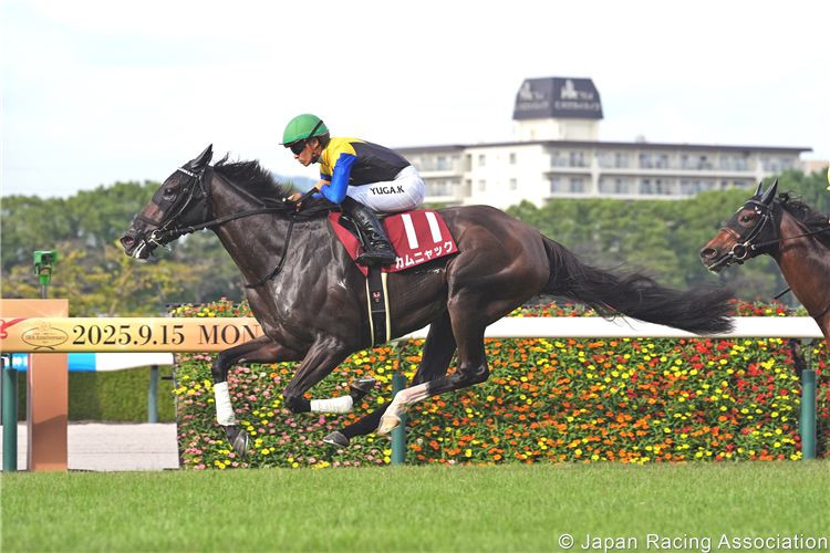 KAMUNYAK winning the Sho Rose Stakes at Hanshin in Japan.