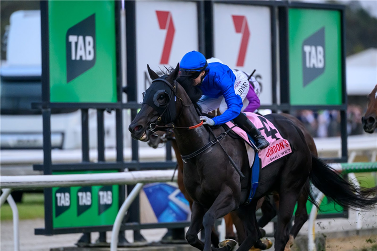 KIN winning the GORDON'S GIN GAI WATERHOUSE CLASSIC - LISTED at Ipswich in Australia.