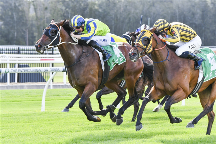 KIND WORDS winning the GOSFORD RSL BELLE OF THE TURF STAKES at Gosford in Australia.