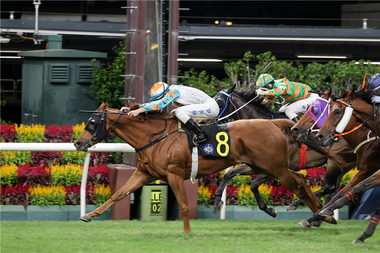 KING OBERON winning the FAT TSEUNG HANDICAP