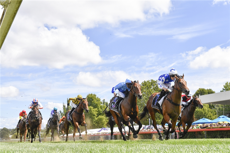 King Of Pop wins the 2025 Black Opal Stakes
