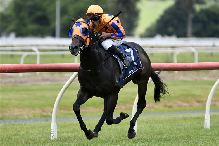KING'S ENGLISH winning the DIPROSE MILLER MAIDEN