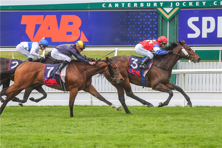 KIWI MAGIC winning the HALLS COLD CHAIN LOGISTICS THREE