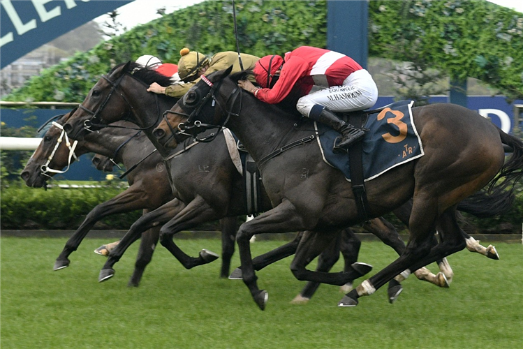 「几维天鹰」胜出特里劳尼育马场冠军锦标赛