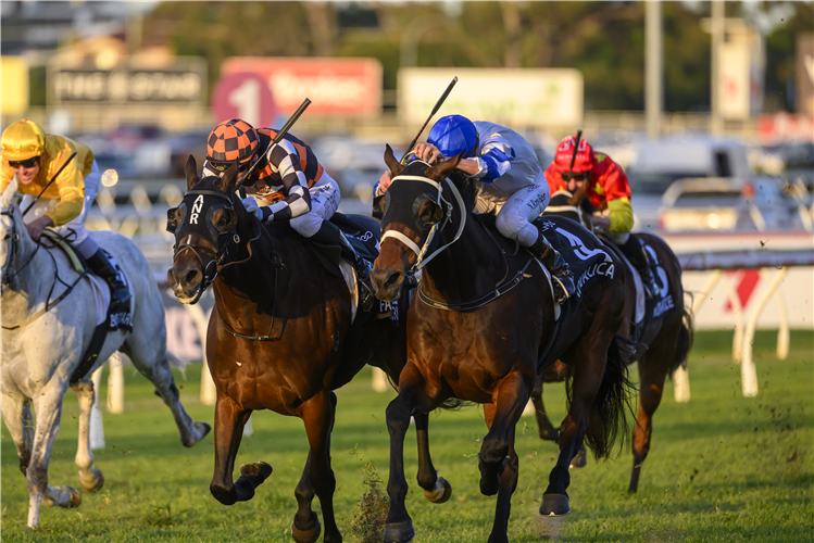 KOVALICA winning the Hkjc World Pool Q22 - Group 2