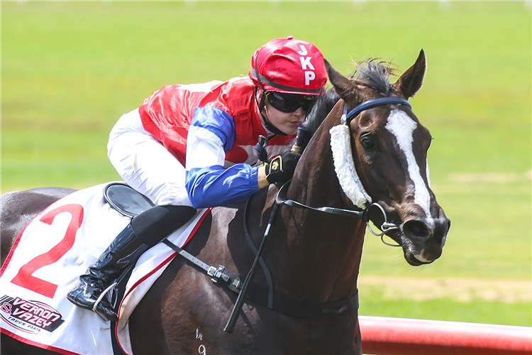 LA BELLA NERA winning the VERNON & VAZEY 0800 TRUCK PARTS REEFTON CUP