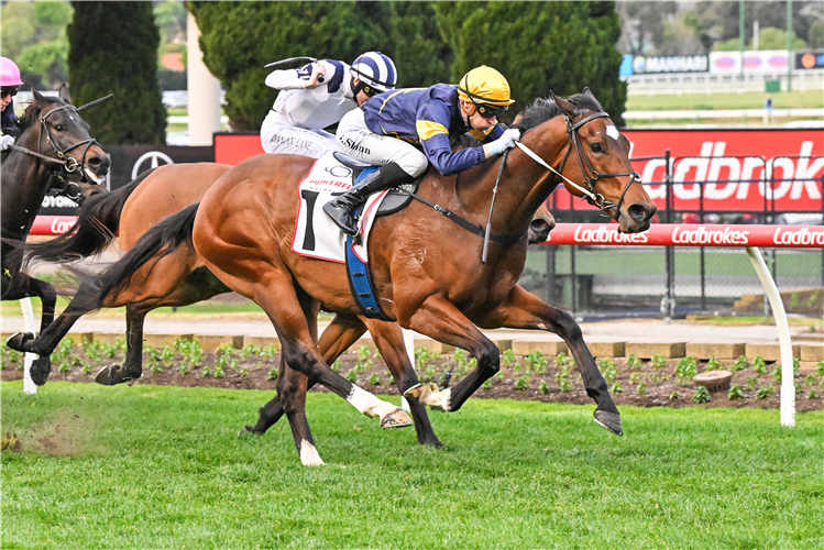 LA FRACAS winning the Powerflo Solutions Handicap at Moonee Valley in Australia.