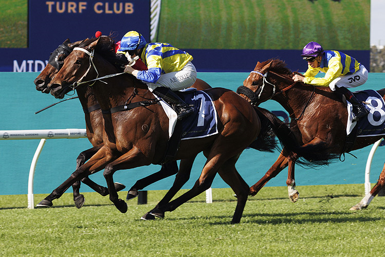 LADY EXTREME winning the MIDWAY HANDICAP