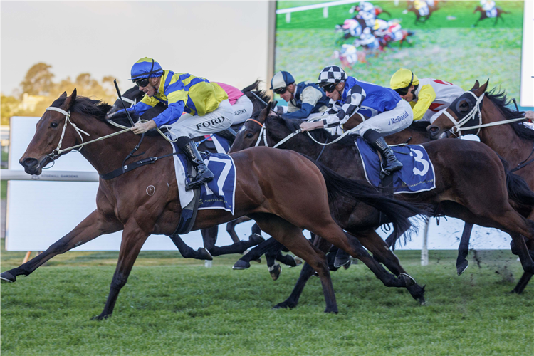 LADY EXTREME winning the CLUBSNSW HANDICAP