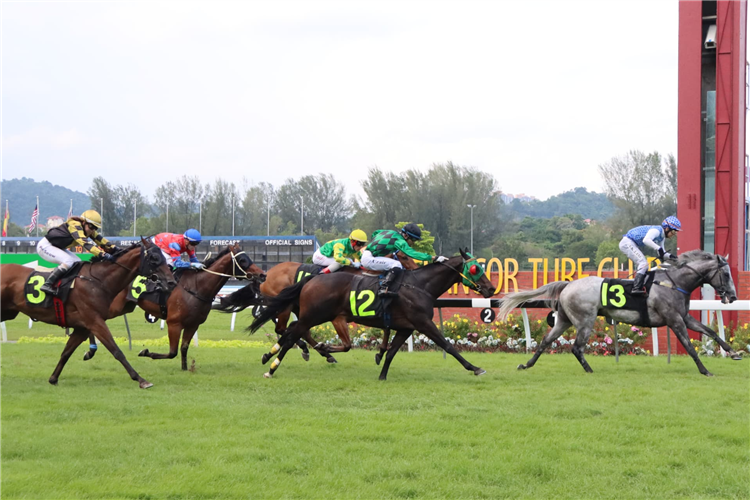 LATIN LEGEND winning the Jul 06 2025 Selangor MeetingGoing