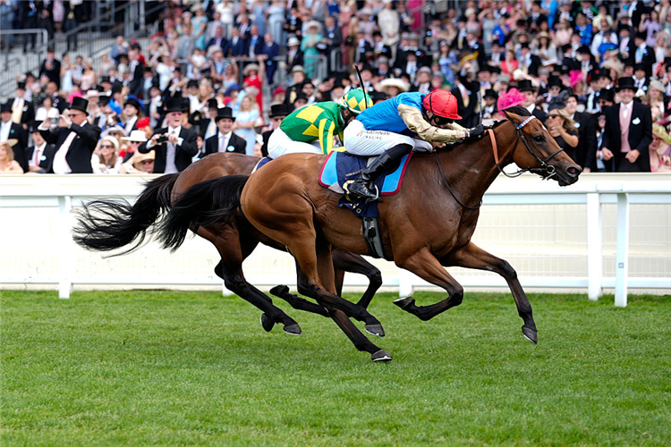 LAZZAT winning the Queen Elizabeth II Jubilee Stakes (Group 1) at Ascot Racecourse in England.