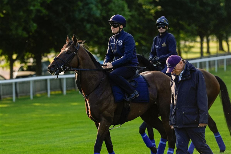 Lead Artist with John Gosden